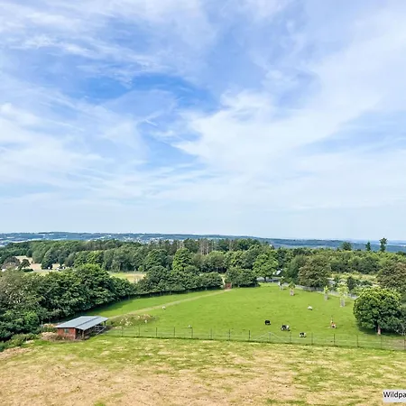 בית נופש Tiny Haus Westerwald 16 Red By Interhome באד מריינברג